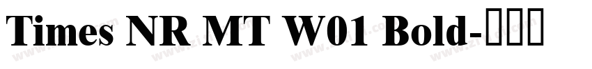 Times NR MT W01 Bold字体转换